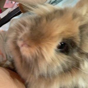 Meet your Posher, Alysia